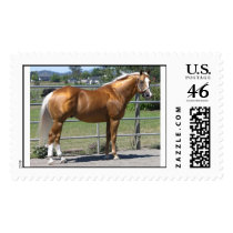 Sir RH Maximilian postage