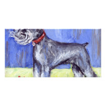 Sir Schnauzer stands photo cards