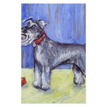 Sir Schnauzer stands stationery