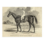 Sir Tatton Sykes', Winner of the St. Leger Post Cards
