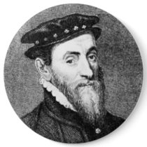 Sir Thomas buttons