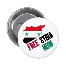 Siria libre ahora pins