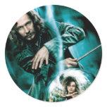 Sirius Black and Bellatrix Lestrange Round Stickers