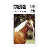 SirRHMaximilian postage