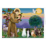 Sister Frances Blessing 5 cats Cards