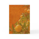 Sister Happy Birthday Spanish Orange Tree, burnt o cards