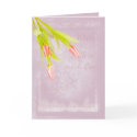 Sister-In-Law Birthday card, with tulips by moonlake Sister-In-Law Birthday card, with tulips