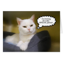 Sister White Cat Birthday Humor Card