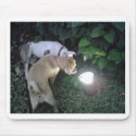 SISTERS 2007 mousepads