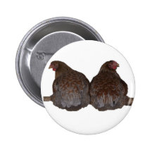 Sisters - Blue Laced Wyandotte Hens Roosting Pin