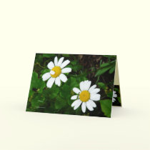 Sisters cards