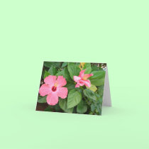 Sisters cards