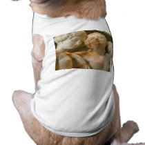 Sisters pet clothing by thedustyphoenix Sisters pet clothing