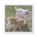Sister's Goats magnets by KABSANNIE Sister's Goats magnets