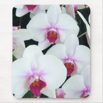 Sisters mousepads