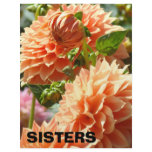 SISTERS Scapebook paper Theme Dahlia Flowers Custom Letterhead