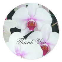 Sisters - Thank You stickers