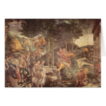 Sistine Chapel -The youth of Moses Cards