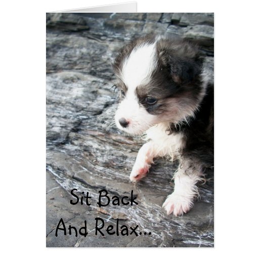Sit Back And Relax Greeting Card