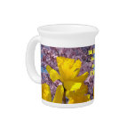 Sit Back Relax and Enjoy! Pitcher Daffodils Floral