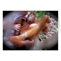 Sit Like a Lady - Jungle Advice greeting cards