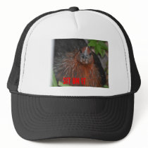 sit on it chicken Hat by peeboogooglehymer sit on it chicken Hat