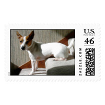 Sit or Stand? postage