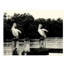 sit postcard