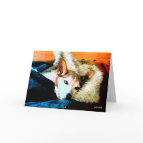 Sit Stay Heal, and Get Well Soon! cards by Hoffard Sit Stay Heal, and Get Well Soon! cards