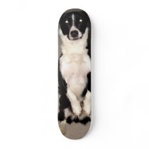 Sit Up and Beg Skateboard