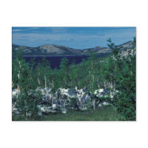 Sithylemenkat Lake postcards by animalpark Sithylemenkat Lake postcards