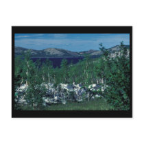 Sithylemenkat Lake postcards by animalpark Sithylemenkat Lake postcards