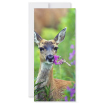 Sitka Black-tailed Deer with Fireweed Rack Card