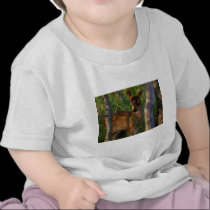 Sitka Blacktailed Fawn t-shirts