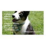 Sitting Border Collie Business Cards