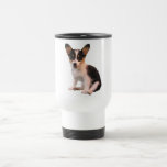 Sitting Cardigan Welsh Corgi Puppy Coffee Mugs