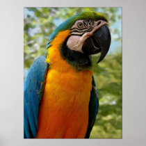 Sitting For You Print