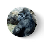 Sitting Gorilla buttons