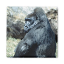 Sitting Gorilla magnets by alternateworlds Sitting Gorilla magnets