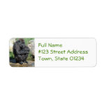 Sitting Gorilla Return Address Label