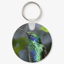 Sitting Hummer keychains by TheFeatherFactory Sitting Hummer keychains
