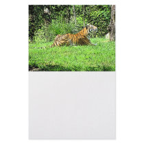 Sitting Majestic Tiger Painting Personalized Stationery