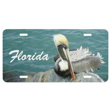Sitting Pelican Custom License Plate