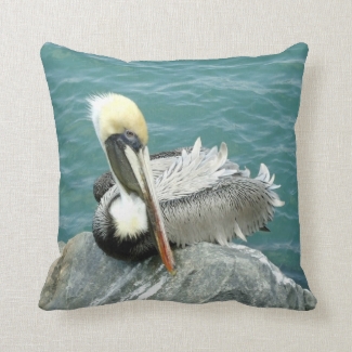 Sitting Pelican