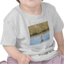 Sitting Penguin Bird Tshirt