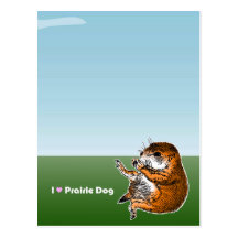 sitting prairie dog post cards