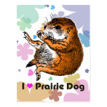 sitting prairie dog post cards