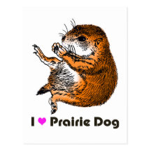 sitting prairie dog postcards