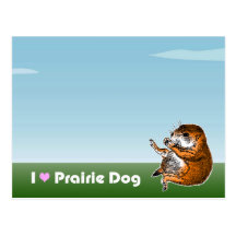 sitting prairie dog postcards