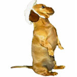 Sitting Pretty Dachshund Sculpture Photo Cutout